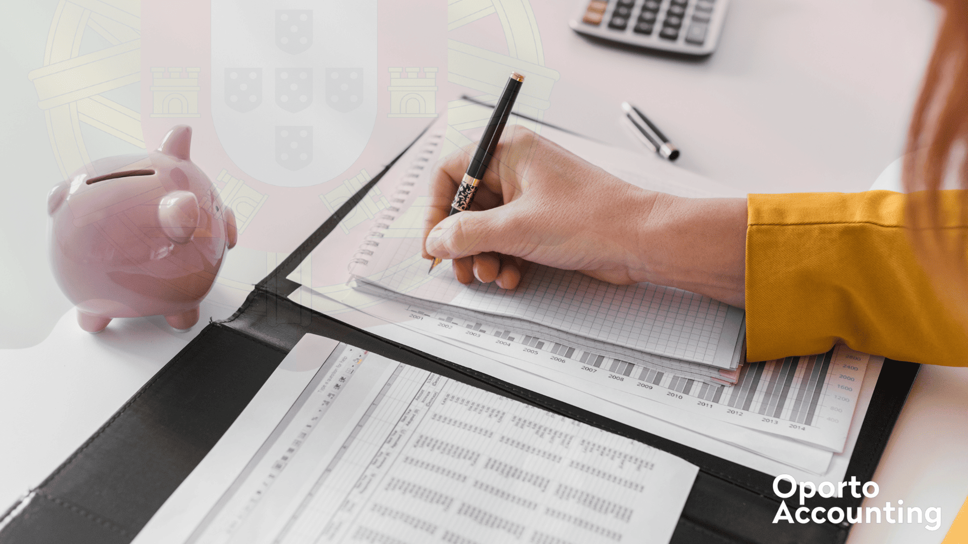 Oporto Accounting - Guide for a Smooth IRS Campaign