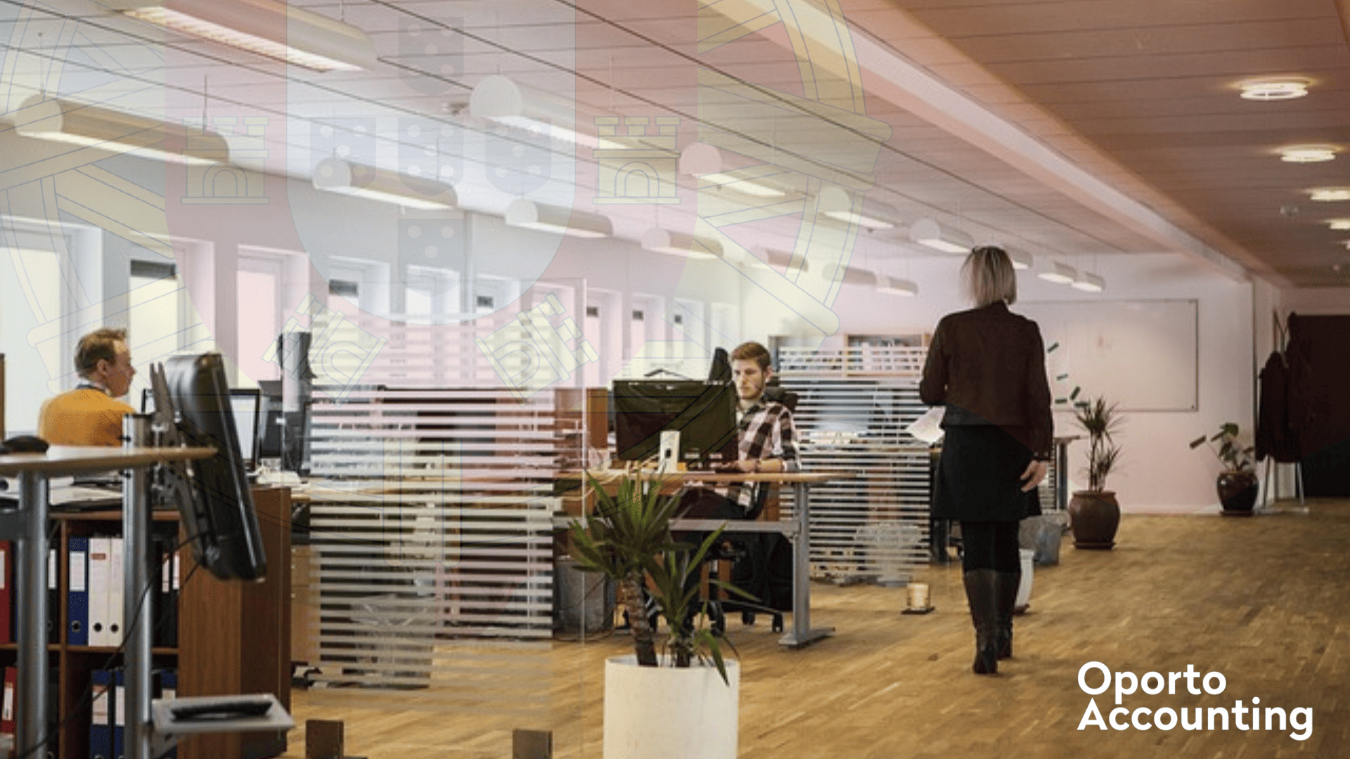 Oporto Accounting - Companies in Portugal Must Have a NIPC