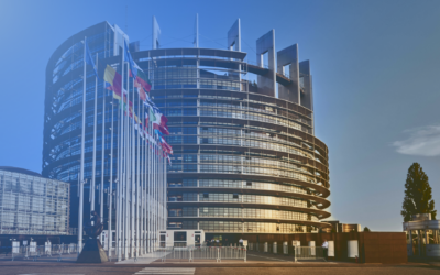 SME Fund 2025: Financial support to protect your ideas and grow with confidence