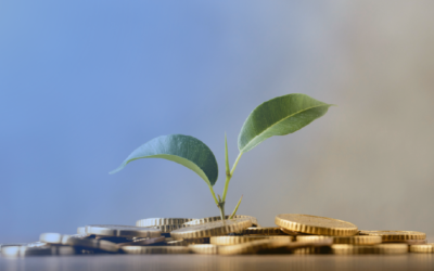 Government Incentives in Portugal: What businesses should consider before applying