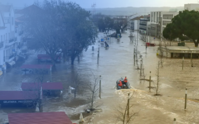 PRR “Reindustrializar” funding call opens €150 million to support storm-affected companies